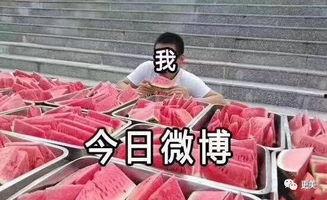 吃瓜爆料大赛每日聚集地 吃瓜前线第一人,揭秘吃瓜爆料大赛每日聚集地的幕后故事